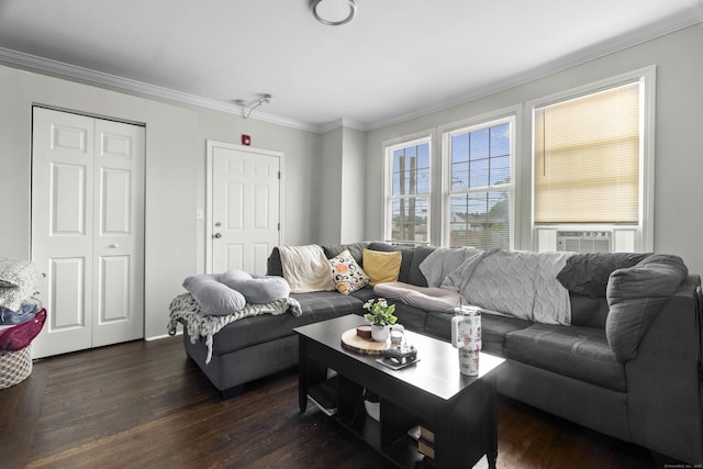 1492 Dixwell Ave, Hamden, CT 06514 - living room with ornamental molding, dark wood-style floors, and cooling unit