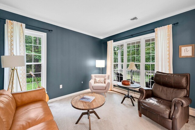 190 Charles St, Tolland, CT 06084 - living area featuring crown molding and carpet