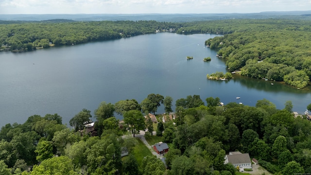 114 Lakeside Dr, East Haddam, CT 06423 - aerial view of property's location featuring a heavily wooded area and a large body of water