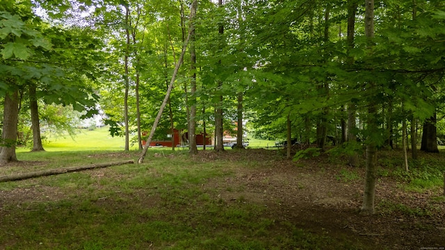 114 Lakeside Dr, East Haddam, CT 06423 - view of yard