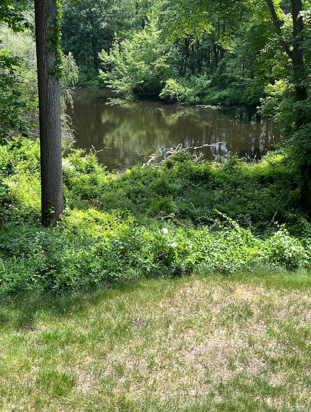 305 Rimmon Rd, Woodbridge, CT 06525 - photo 27