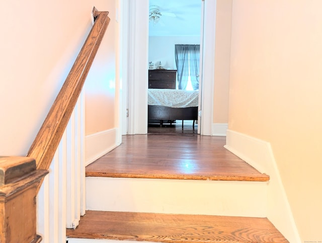 55 Ridgefield Ave, Bridgeport, CT 06610 - photo 28