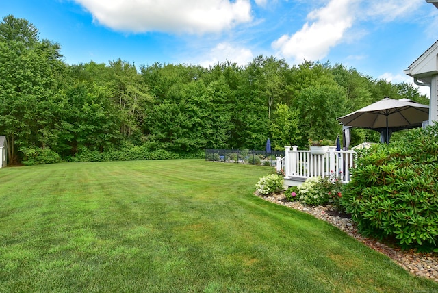 55 Hydrangea Ln, Suffield, CT 06078 - view of grassy yard with a forest view