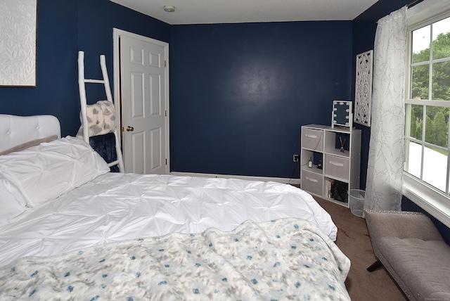 55 Hydrangea Ln, Suffield, CT 06078 - bedroom featuring carpet flooring