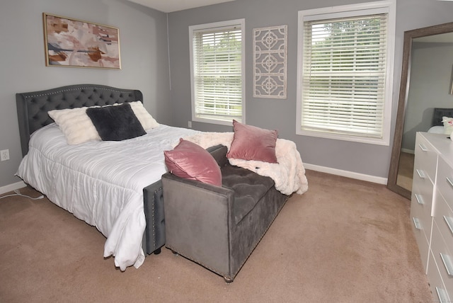 55 Hydrangea Ln, Suffield, CT 06078 - carpeted bedroom with multiple windows