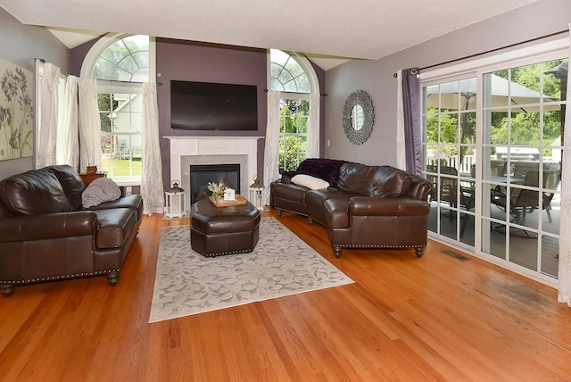 55 Hydrangea Ln, Suffield, CT 06078 - living room featuring wood finished floors, vaulted ceiling, and a glass covered fireplace