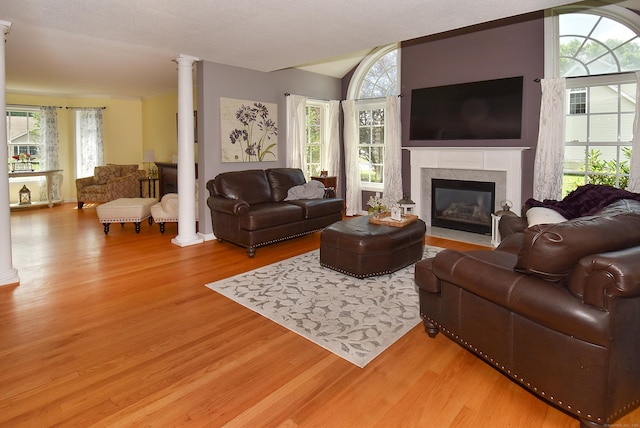 55 Hydrangea Ln, Suffield, CT 06078 - living room featuring decorative columns, light wood-style flooring, plenty of natural light, a premium fireplace, and vaulted ceiling