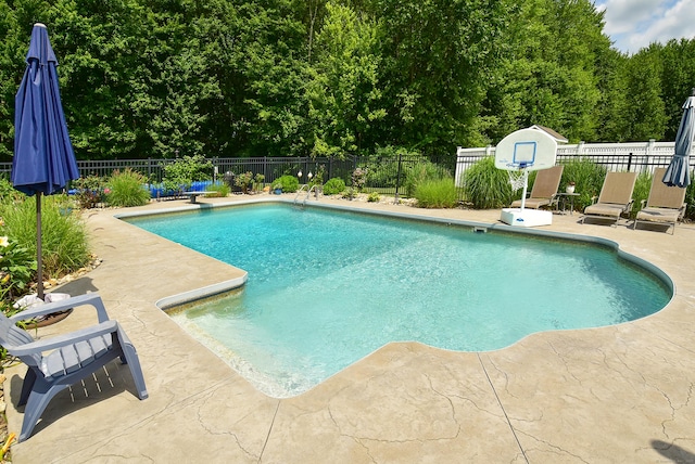 55 Hydrangea Ln, Suffield, CT 06078 - view of pool featuring a patio, a fenced backyard, and a wooded view