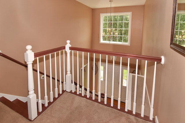 55 Hydrangea Ln, Suffield, CT 06078 - staircase featuring carpet floors