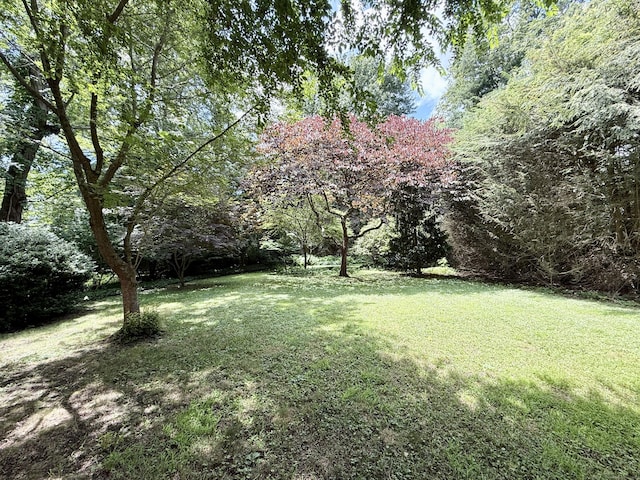 271 Jeniford Rd, Fairfield, CT 06824 - view of grassy yard