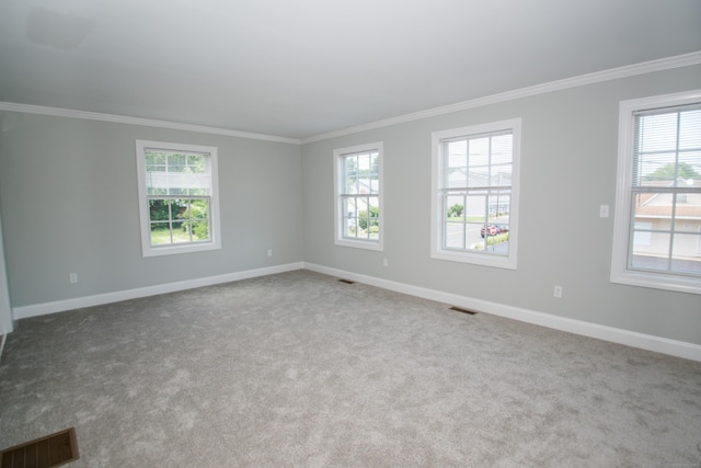783 Naugatuck Ave, Milford, CT 06461 - empty room with crown molding and carpet flooring