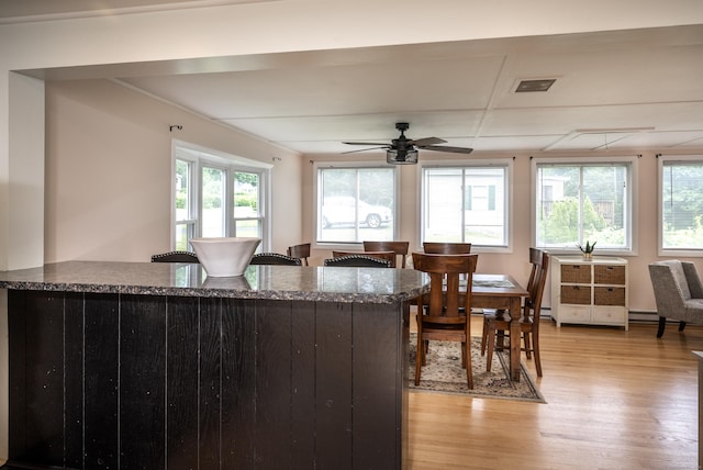16 Westview Dr, Bethel, CT 06801 - dining space featuring light wood-type flooring, healthy amount of natural light, ceiling fan, and a baseboard radiator