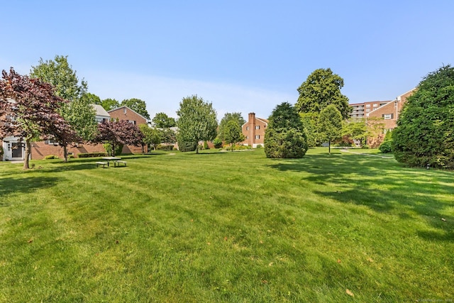 90 Strawberry Hill Ave Unit 3, Stamford, CT 06902 - view of grassy yard