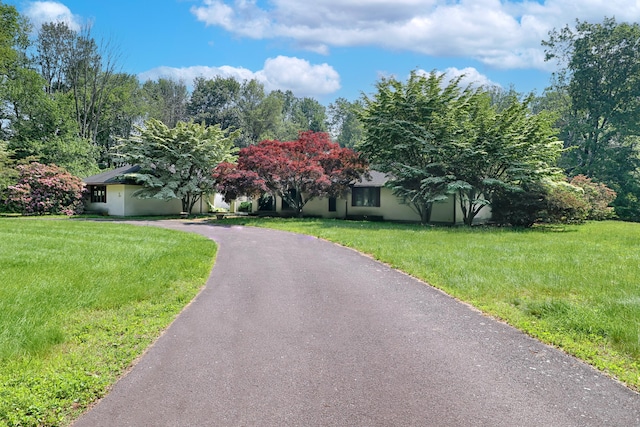 3853 Congress St, Fairfield, CT 06824 - obstructed view of property featuring stucco siding, a front lawn, and curved driveway