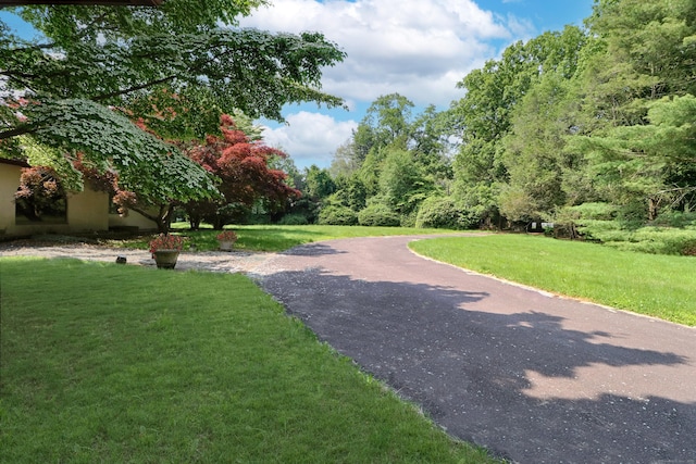 3853 Congress St, Fairfield, CT 06824 - view of property's community with a lawn