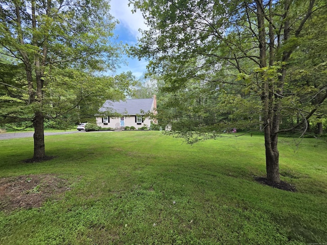 111 Bingham Rd, Canterbury, CT 06331 - photo 31