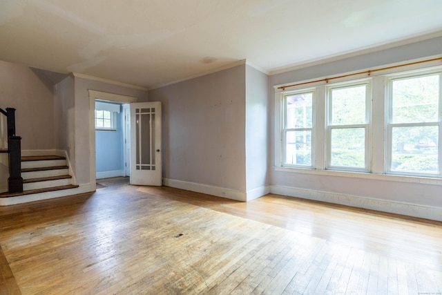 21 Richmond Ave, New Haven, CT 06515 - photo 12