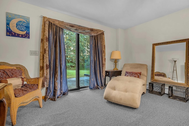 41 Fog Plain Rd, Waterford, CT 06385 - living area featuring carpet floors