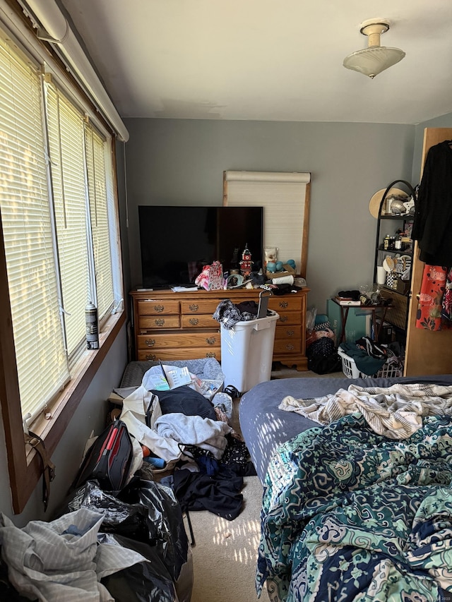 74 Pine Rd, East Haddam, CT 06423 - bedroom featuring carpet flooring