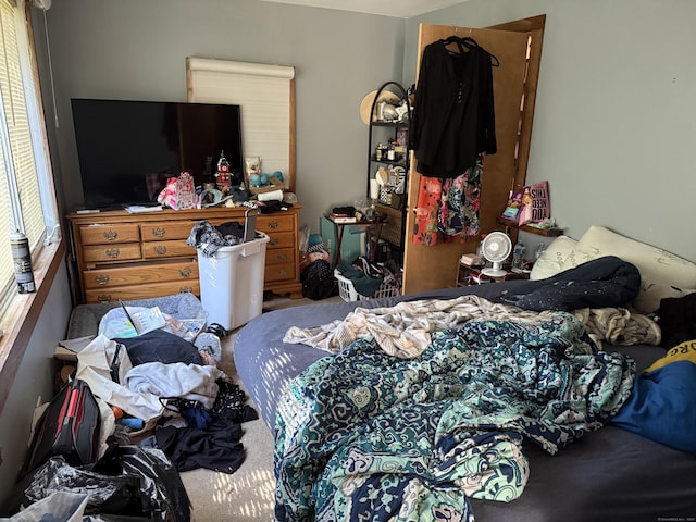 74 Pine Rd, East Haddam, CT 06423 - bedroom with carpet floors