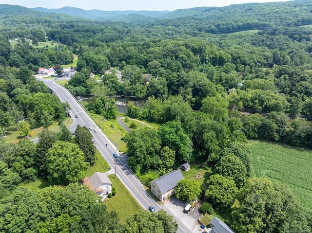 696 Kent Rd, New Milford, CT 06755 - aerial overview of property's location featuring a heavily wooded area and a mountain backdrop