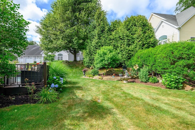 10 Harmony Trl Unit 10, New Milford, CT 06776 - view of green lawn