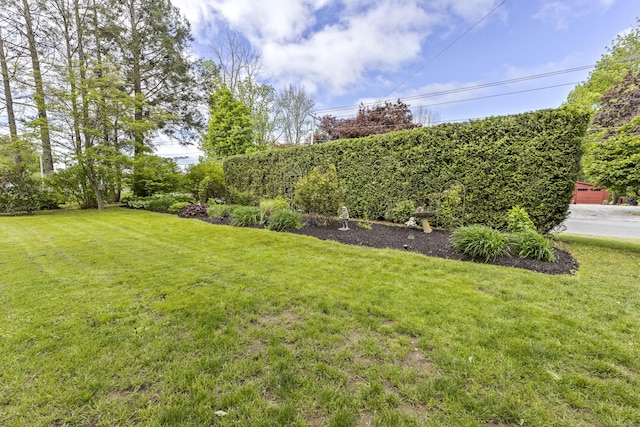 16 N Rd, Ashford, CT 06278 - photo 6