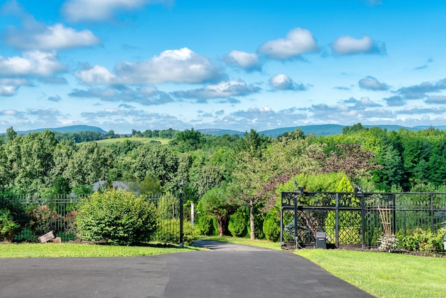 12 Sydney Ln, Cromwell, CT 06416 - photo 30