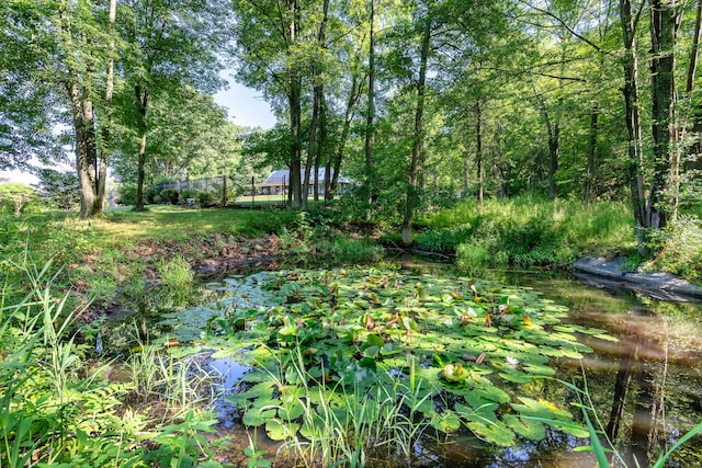 12 Sydney Ln, Cromwell, CT 06416 - photo 39