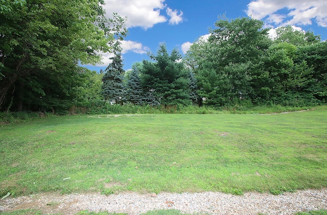 1357 Meriden Ave, Southington, CT 06489 - view of grassy yard