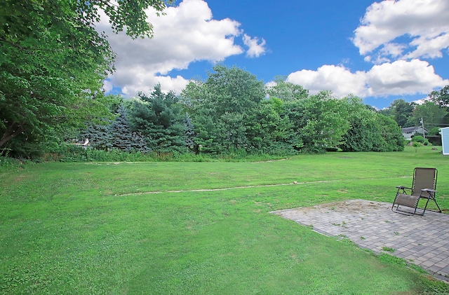 1357 Meriden Ave, Southington, CT 06489 - view of green lawn with a patio area