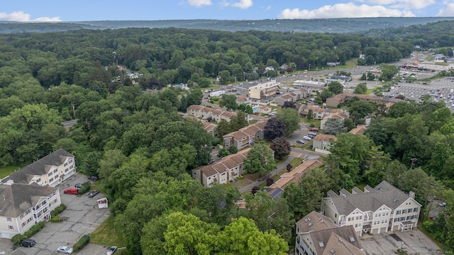 29 Orangewood W Unit 29, Derby, CT 06418 - photo 5