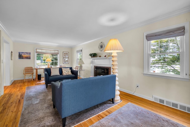 2084 Chapel St, New Haven, CT 06515 - photo 13