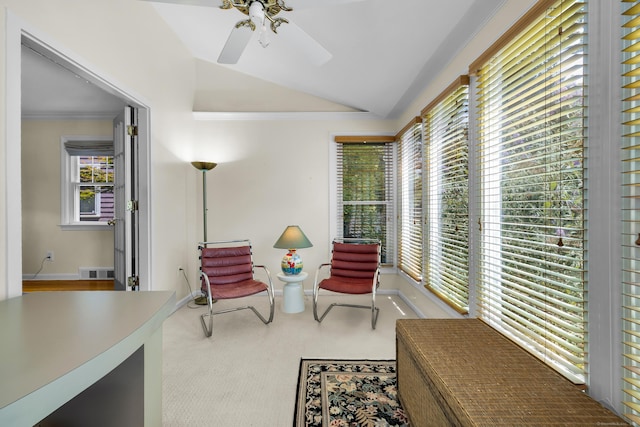 2084 Chapel St, New Haven, CT 06515 - photo 14