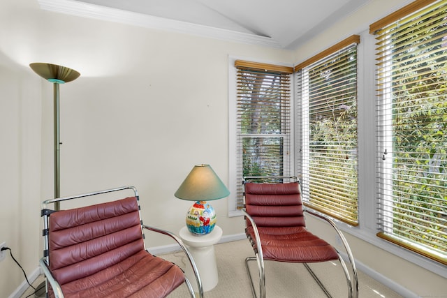 2084 Chapel St, New Haven, CT 06515 - photo 15