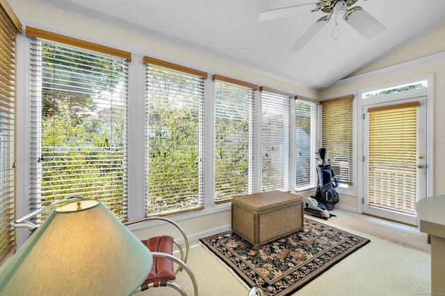 2084 Chapel St, New Haven, CT 06515 - photo 16