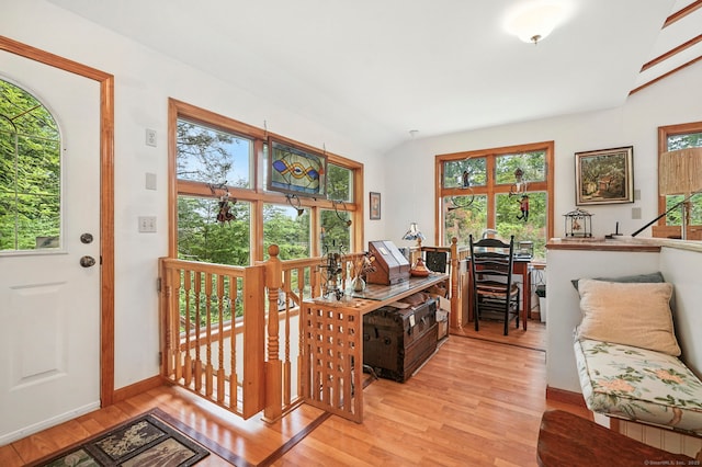 29 Carol St, Danbury, CT 06810 - home office with lofted ceiling, light wood-style flooring, and healthy amount of natural light