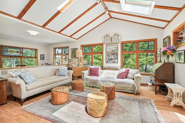 29 Carol St, Danbury, CT 06810 - living room with a skylight, wood finished floors, and high vaulted ceiling