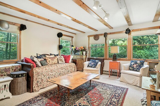 29 Carol St, Danbury, CT 06810 - living area featuring baseboard heating, beamed ceiling, and speckled floor