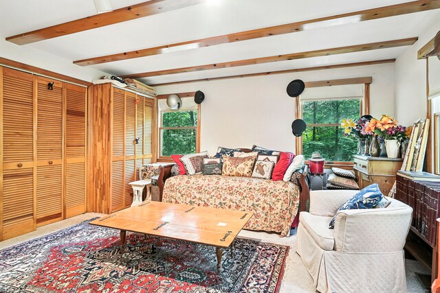 29 Carol St, Danbury, CT 06810 - carpeted living room featuring beam ceiling