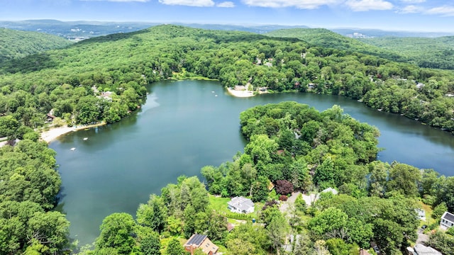 29 Carol St, Danbury, CT 06810 - aerial view of a forest and a water and mountain view