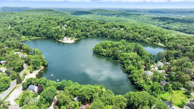 29 Carol St, Danbury, CT 06810 - aerial view of a nearby body of water