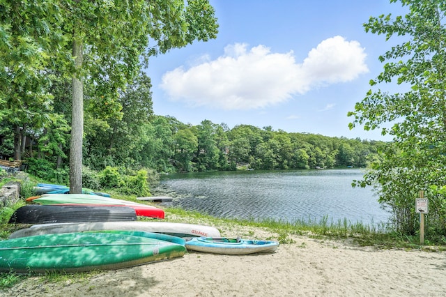 29 Carol St, Danbury, CT 06810 - water view with a forest