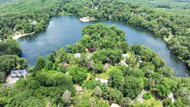 29 Carol St, Danbury, CT 06810 - aerial view of a forest and a nearby body of water