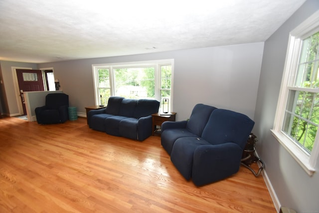 130 Olde Stage Rd, Glastonbury, CT 06033 - living area with light wood-style floors and a baseboard radiator