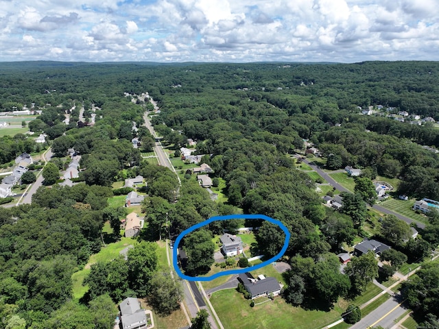 130 Olde Stage Rd, Glastonbury, CT 06033 - aerial view of a forest