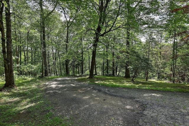 22 E Woods Rd, Roxbury, CT 06783 - view of street featuring a forest view