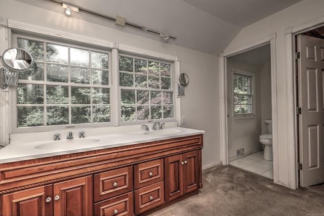 22 E Woods Rd, Roxbury, CT 06783 - bathroom featuring lofted ceiling and double vanity