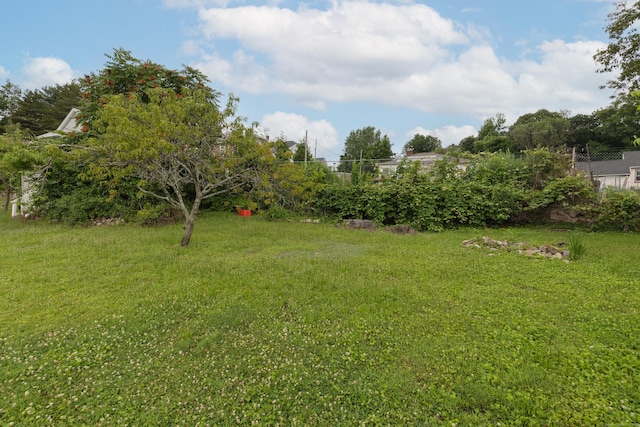 213 Easton Ave, Waterbury, CT 06704 - view of grassy yard
