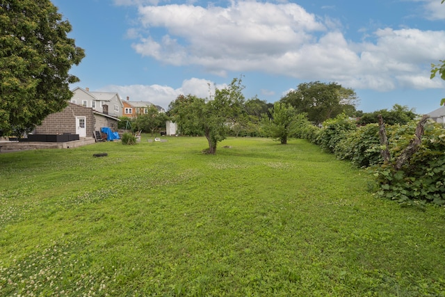 213 Easton Ave, Waterbury, CT 06704 - view of grassy yard
